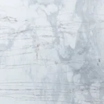 Spider White